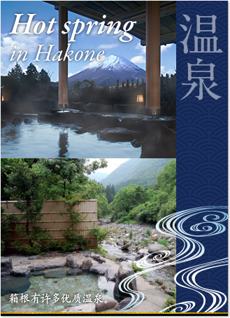 Hot spring  in Hakone : In Hakone, there are a lot of high-quality hot spring.