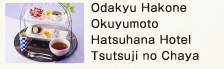 Odakyu Hakone Okuyumoto Hatsuhana Hotel Tsutsuji no Chaya