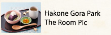 Hakone Gora Park The Room Pic