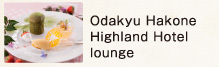 Odakyu Hakone Highland Hotel lounge