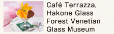 Caf&eacute; Terrazza, Hakone Glass Forest Venetian Glass Museum
