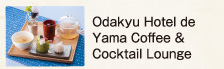 Odakyu Hotel de Yama Coffee & Cocktail Lounge
