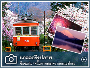 แกลลอรี่รูปภาพ ชื่นชมกับทัศนียภาพอันงดงามของฮาโกเน่