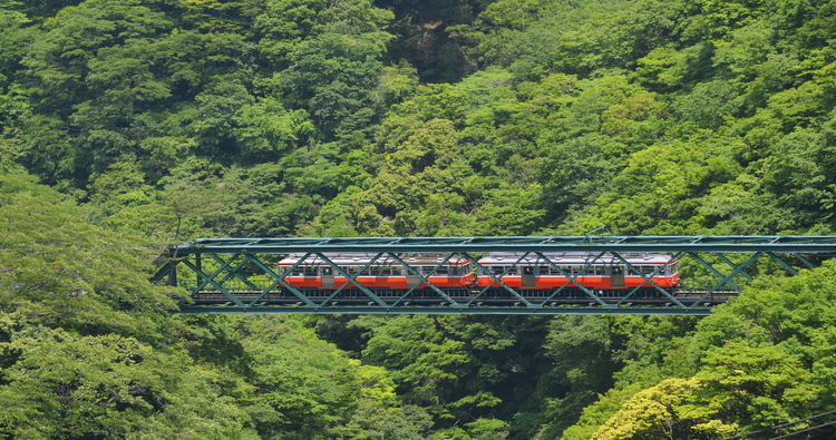 箱根登山鉄道 [DVD]