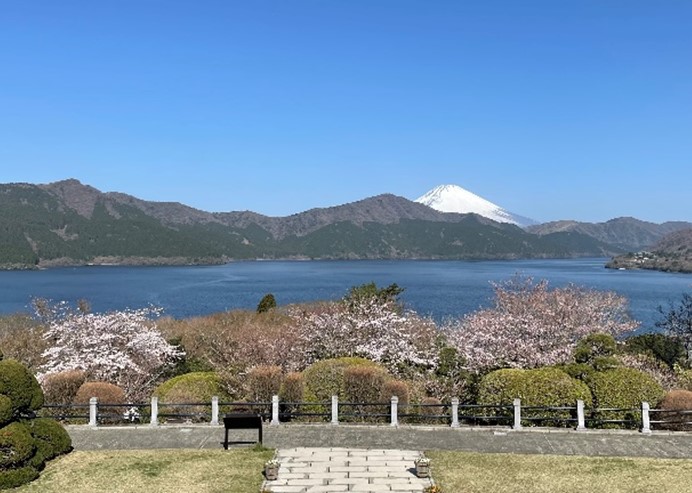 恩賜箱根公園_湖畔展望館のバルコニーから眺める富士山（春）