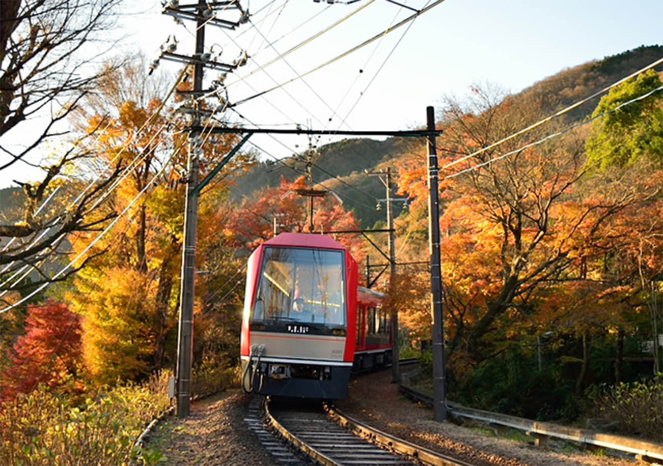 3000形｜登山電車・ケーブルカー｜箱根ナビ