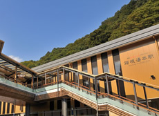 Hakone-Yumoto Station (ticket gate, bus stop)
