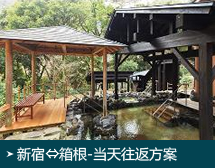 新宿⇔箱根-当天往返方案
