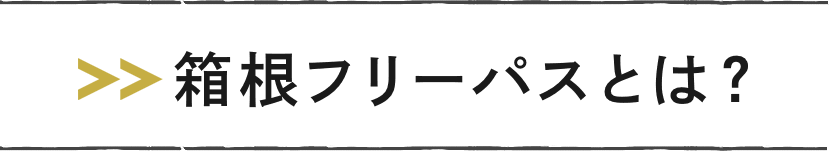 箱根フリーパスとは