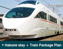Hakone stay + Train Package Plan