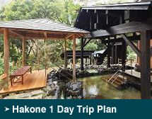 Hakone 1 Day Trip Plan