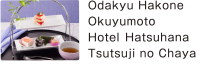 Odakyu Hakone Okuyumoto  Hotel Hatsuhana Tsutsuji no Chaya