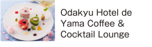 Odakyu Hotel de Yama Coffee & Cocktail Lounge