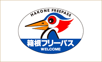 tokyo to hakone day trip itinerary