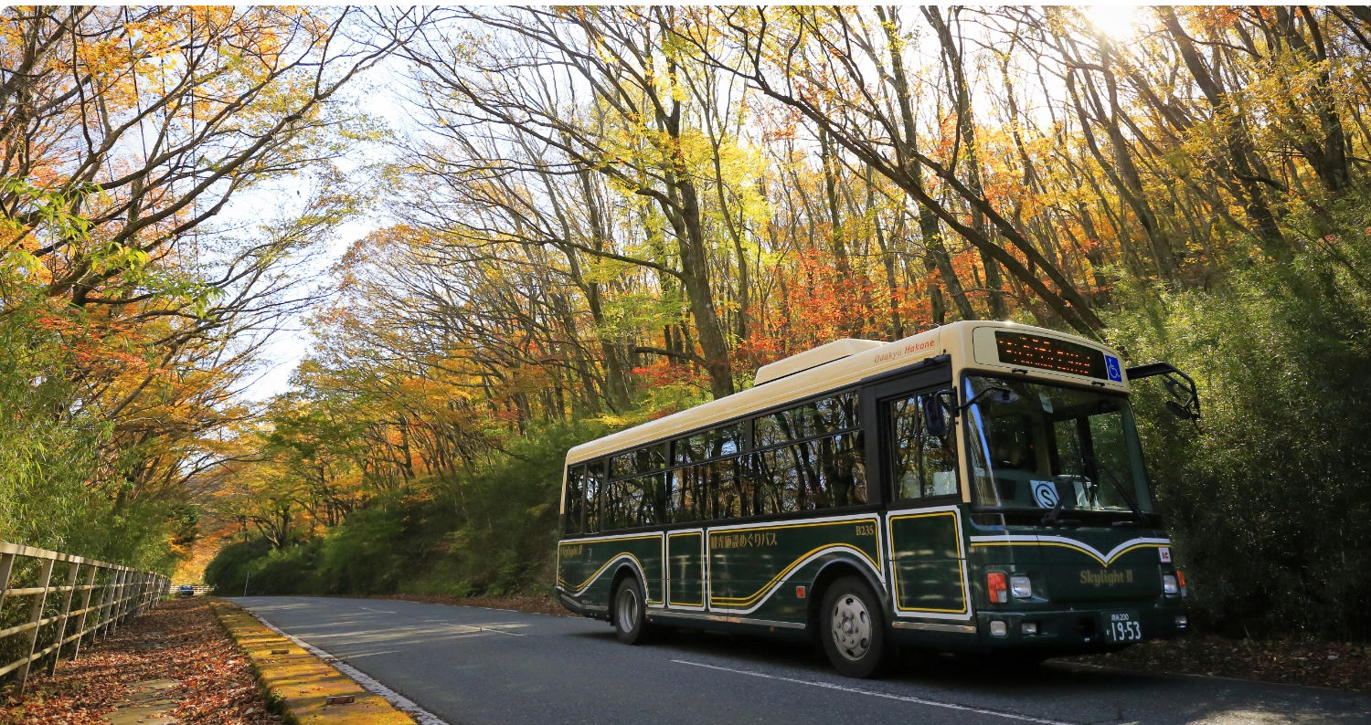 hakone bus tour