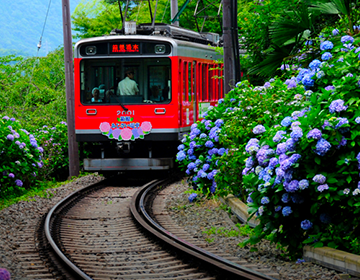 how long is lake ashi cruise