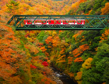 hakone tour package from tokyo