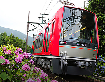 hakone bus tour