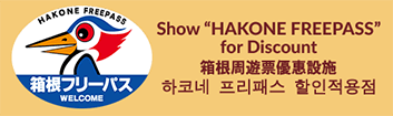 hakone cruise