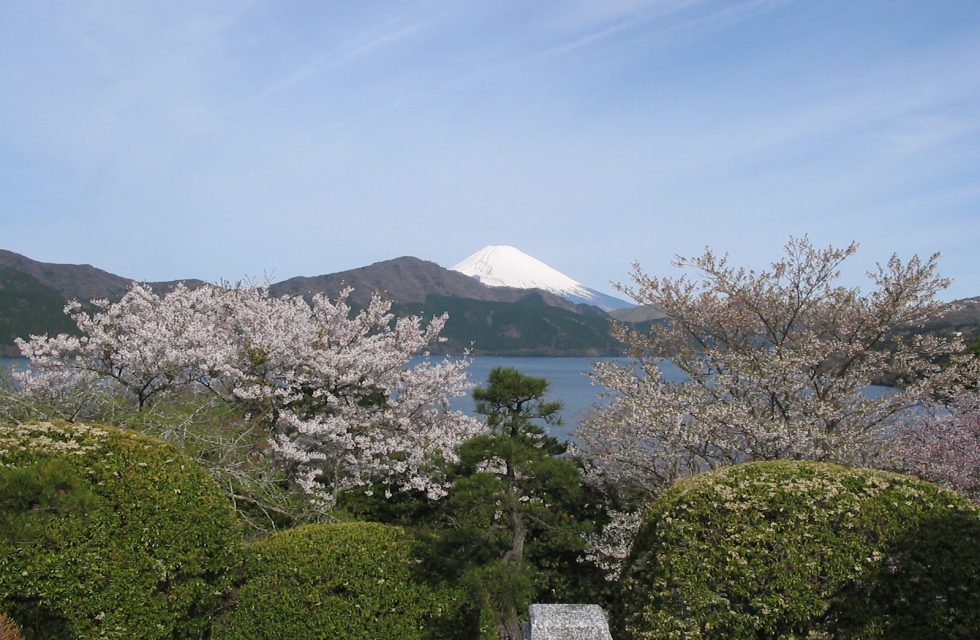 Onshi Hakone Park/Cherry Blossoms HAKONE Your Guide to All Things