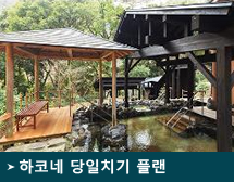 하코네 당일치기 플랜