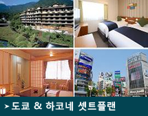 도쿄 & 하코네 셋트플랜