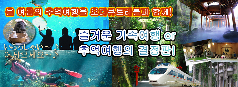 즐거운 가족여행 or 추억여행의 결정판!