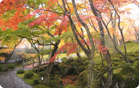 箱根美術館