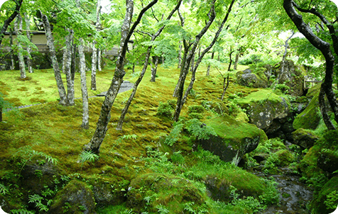 箱根美術館