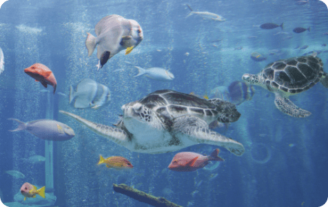 箱根園水族館