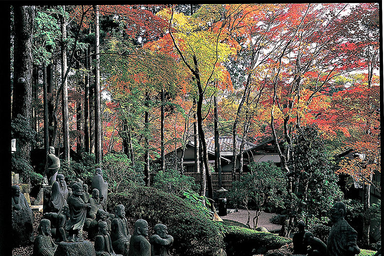 長安寺 箱根ナビ