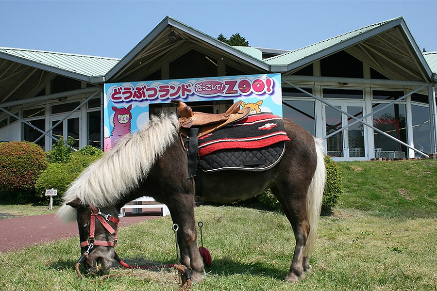 箱根園動物ランド だっこして！ZOO！ 箱根ナビ