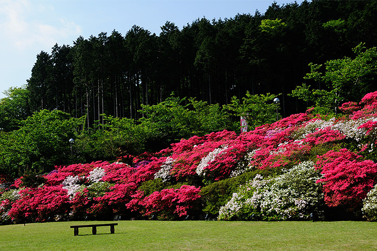 ホテル花月園つつじ庭園