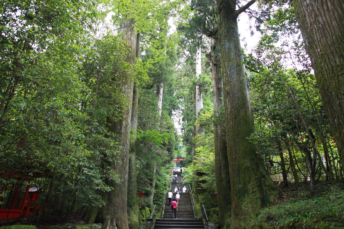 箱根観光おすすめスポット