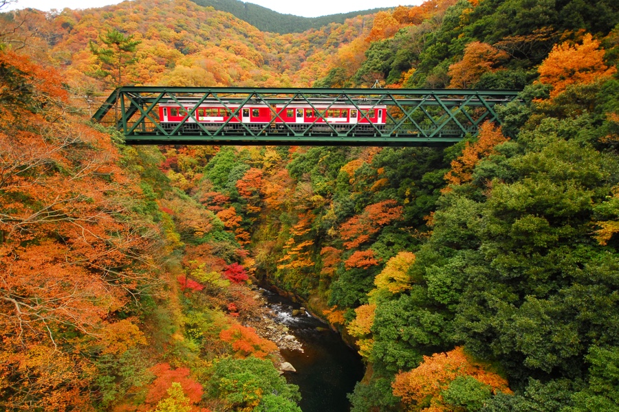 箱根の紅葉を満喫する フリーパスで巡る秋のモデルコース 箱根ナビ