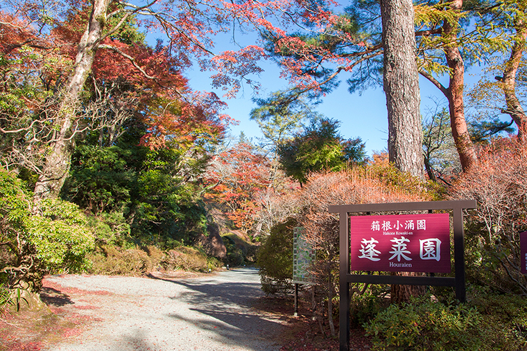 箱根観光おすすめスポット