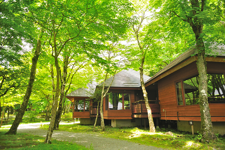 箱根観光おすすめスポット