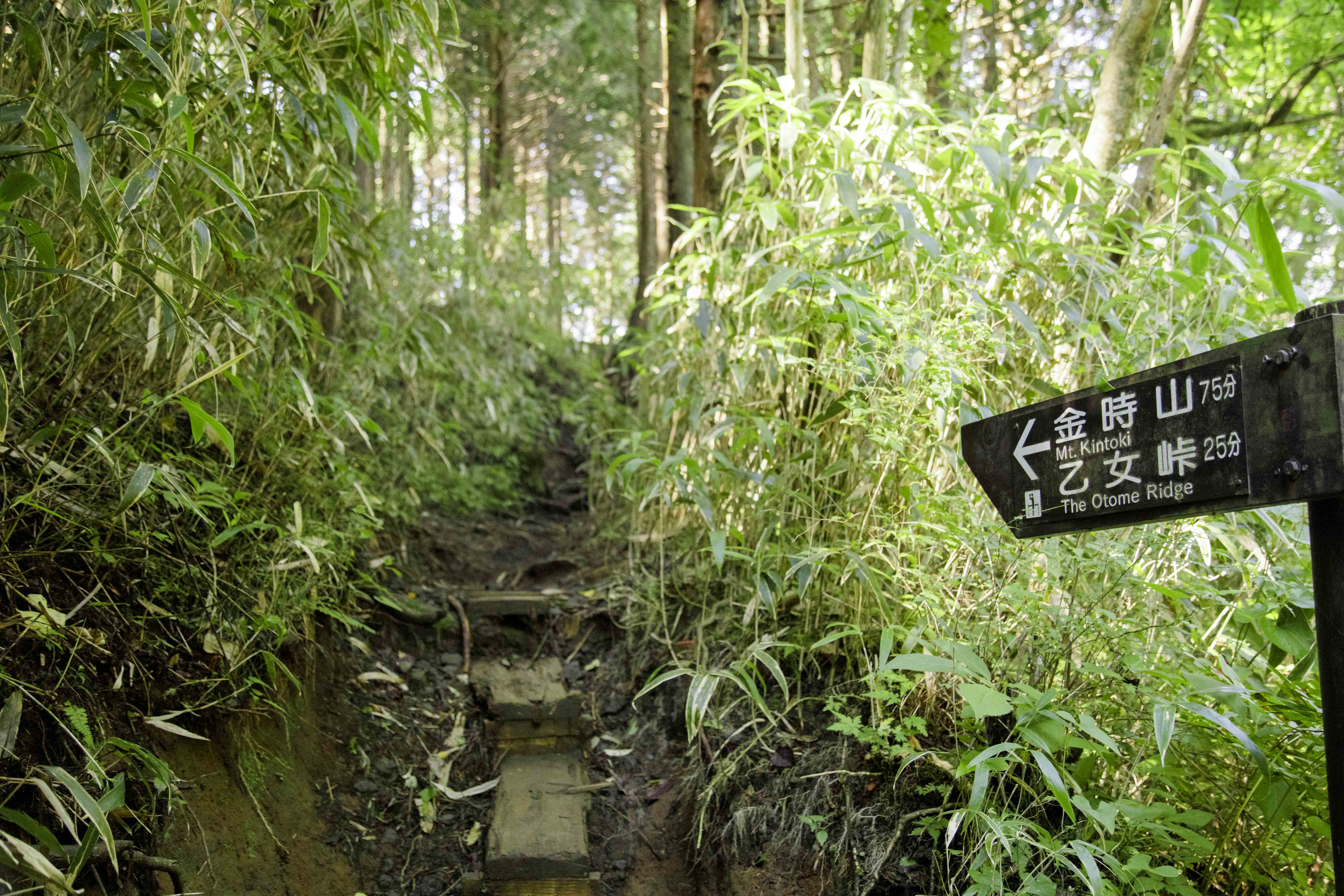 金時山