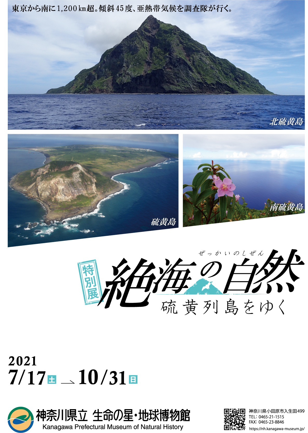 7月17日より特別展 絶海の自然 の開催 箱根ナビ