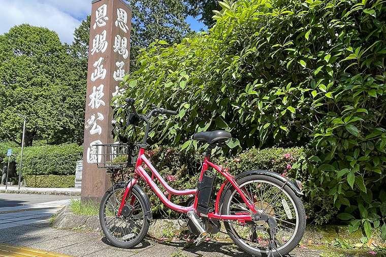 ”神奈川県立恩賜箱根公園ハイキングコース”