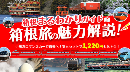 宿とロマンスカーのセットがお得