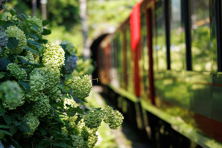 箱根登山電車