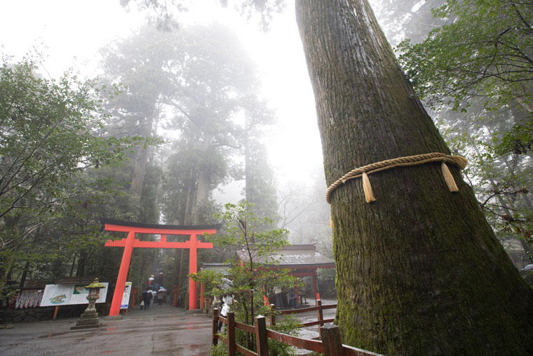 ”神社”