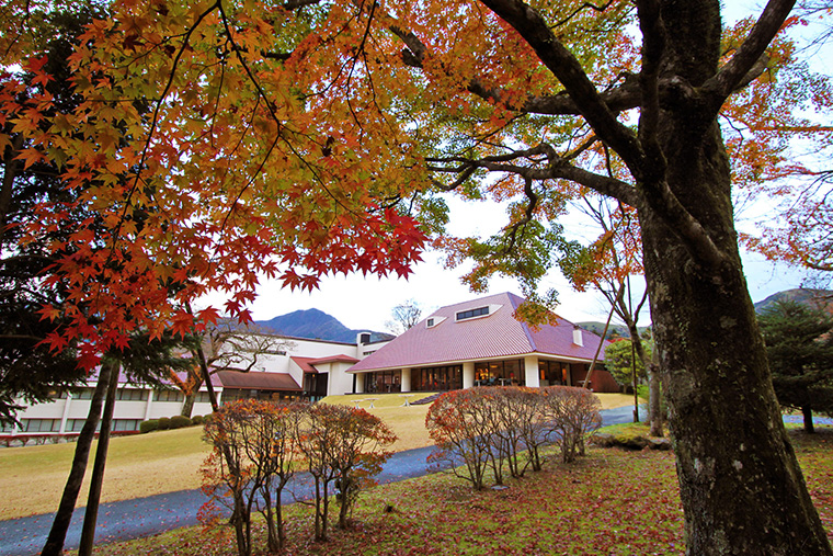 庭園の紅葉