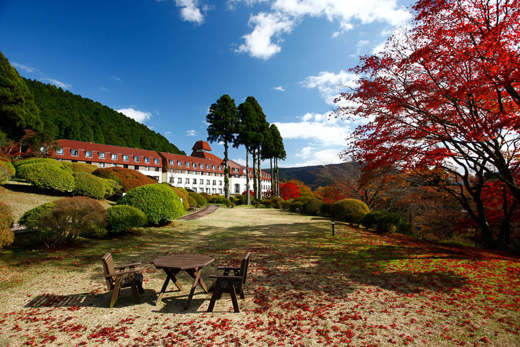 山のホテル庭園