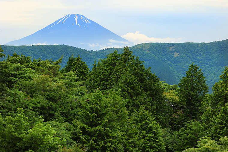 富士山