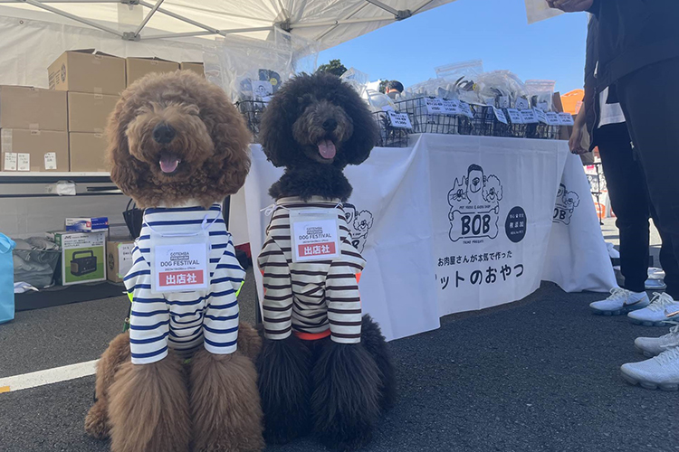 DOG FESTIVAL