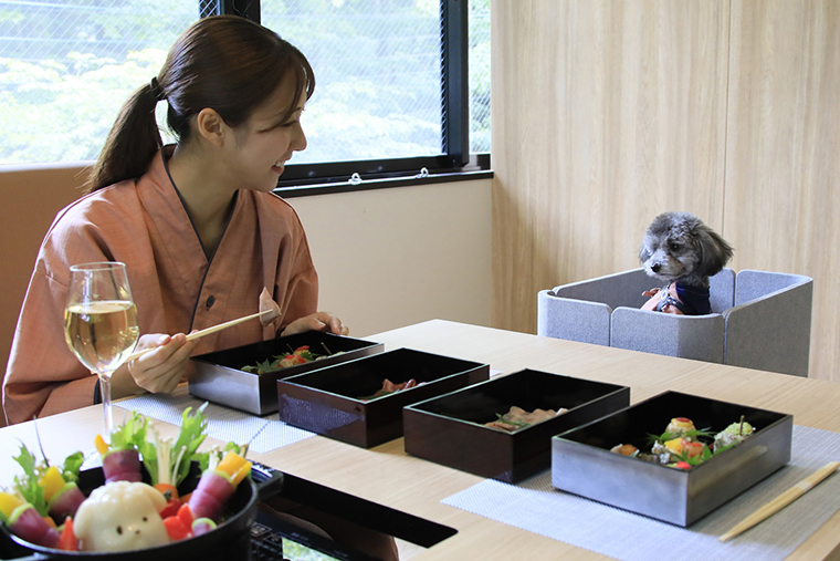 宿泊料金やプラン詳細