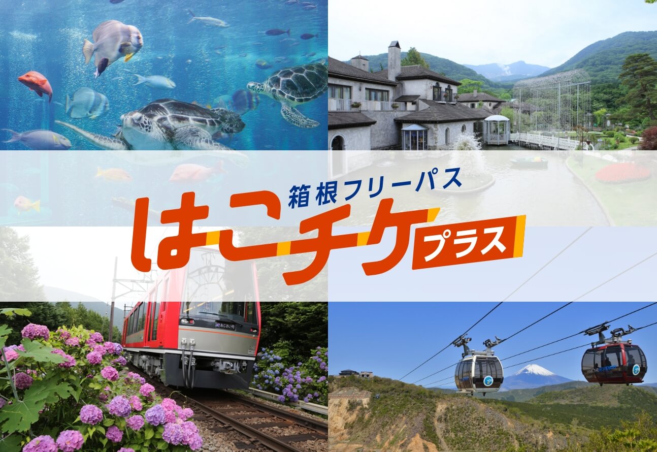 はこチケ
