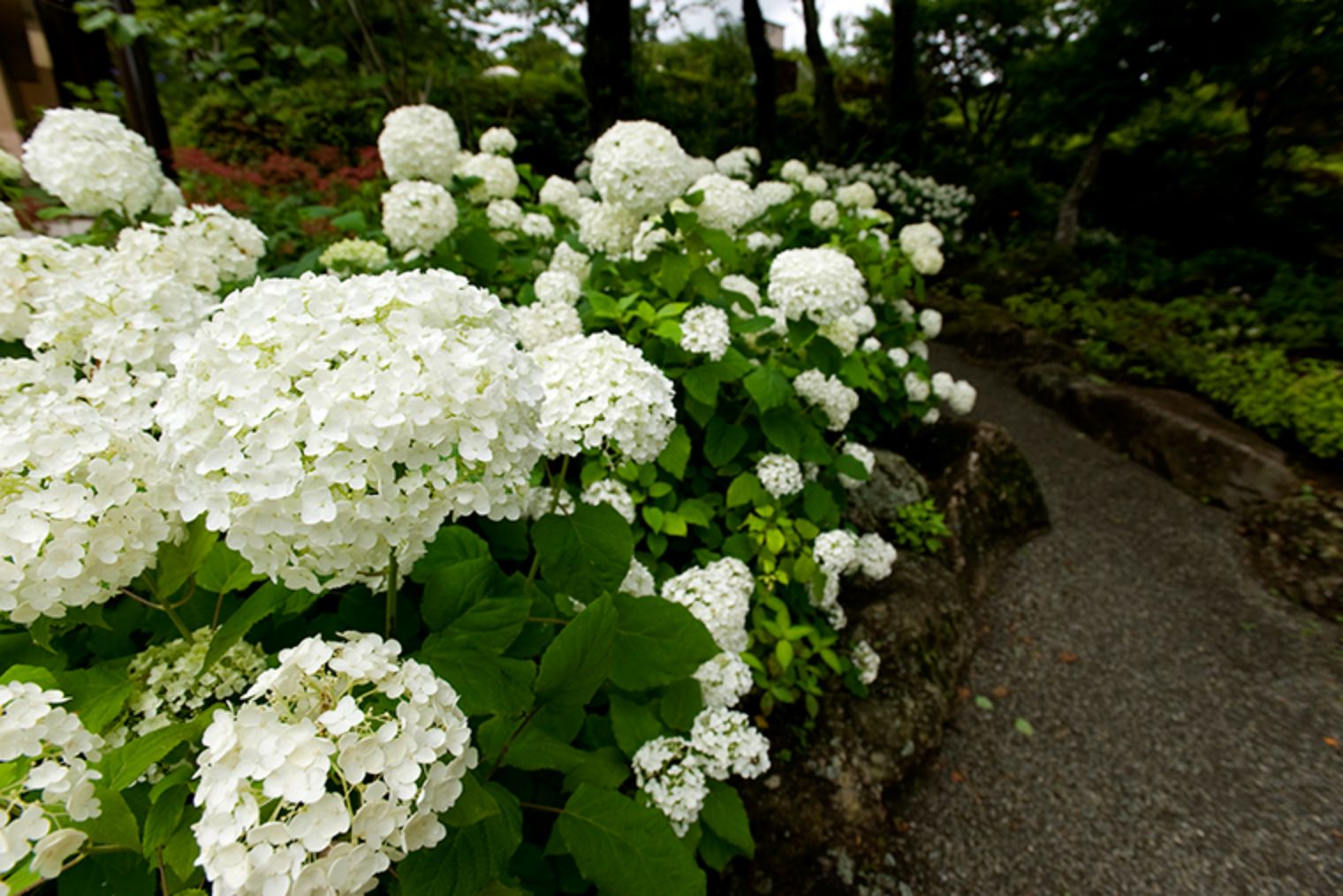 箱根強羅公園